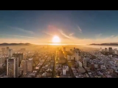 কোম্পানির প্রোফাইল