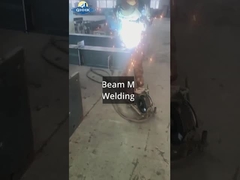 ক্রেন প্রকল্প সহ শ্রীলঙ্কা ইস্পাত কর্মশালা